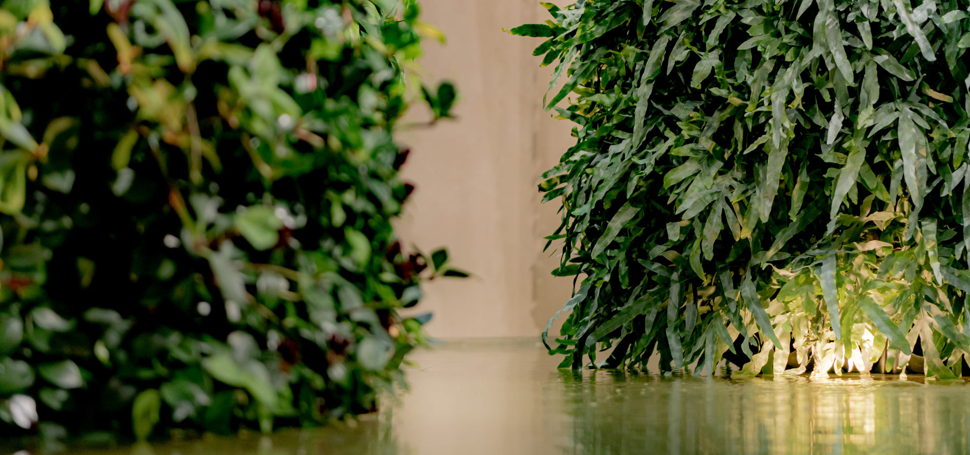 Gartenhof K�sters - Carolus Thermen