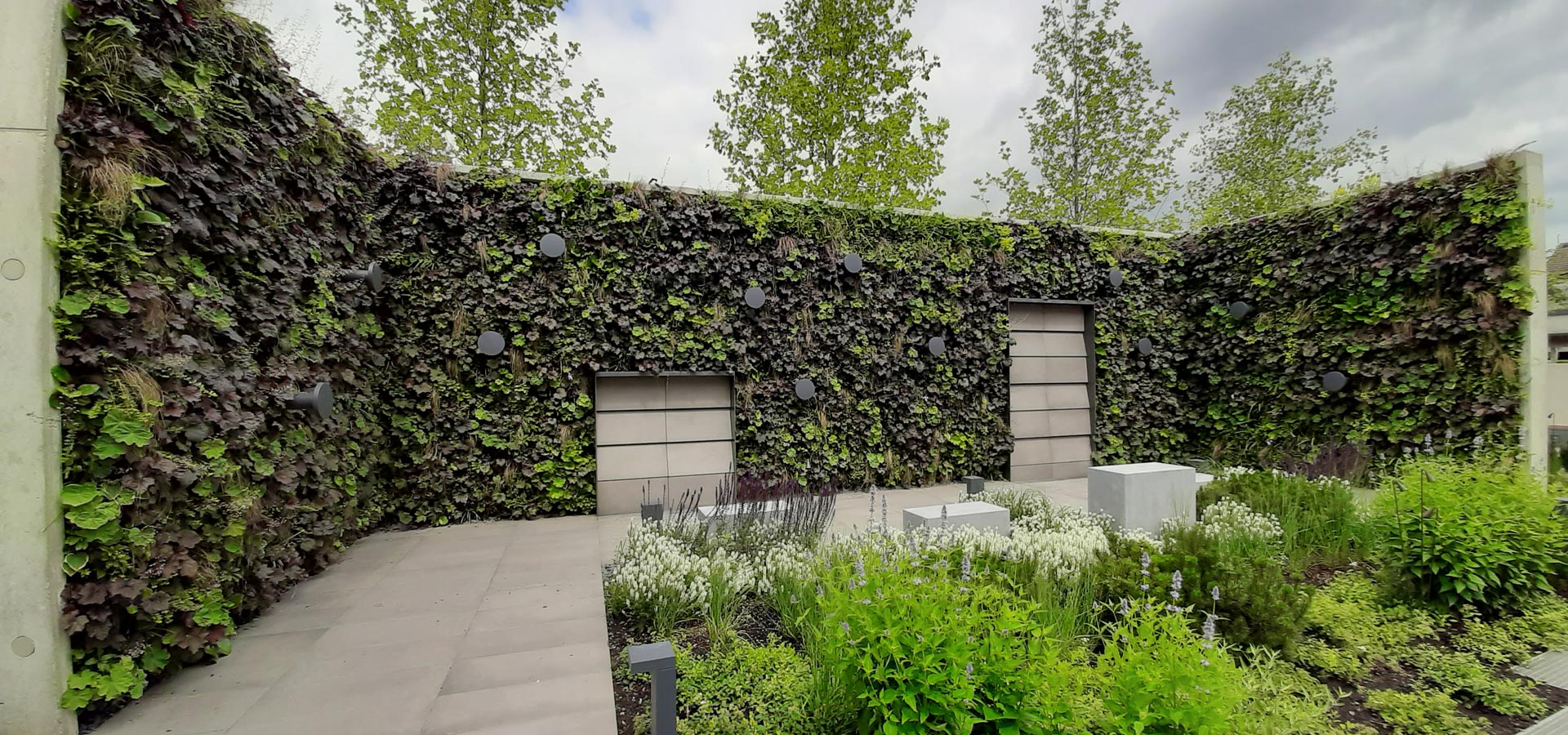 Gartenhof K�sters - Outdoor-Wandbegr�nungen