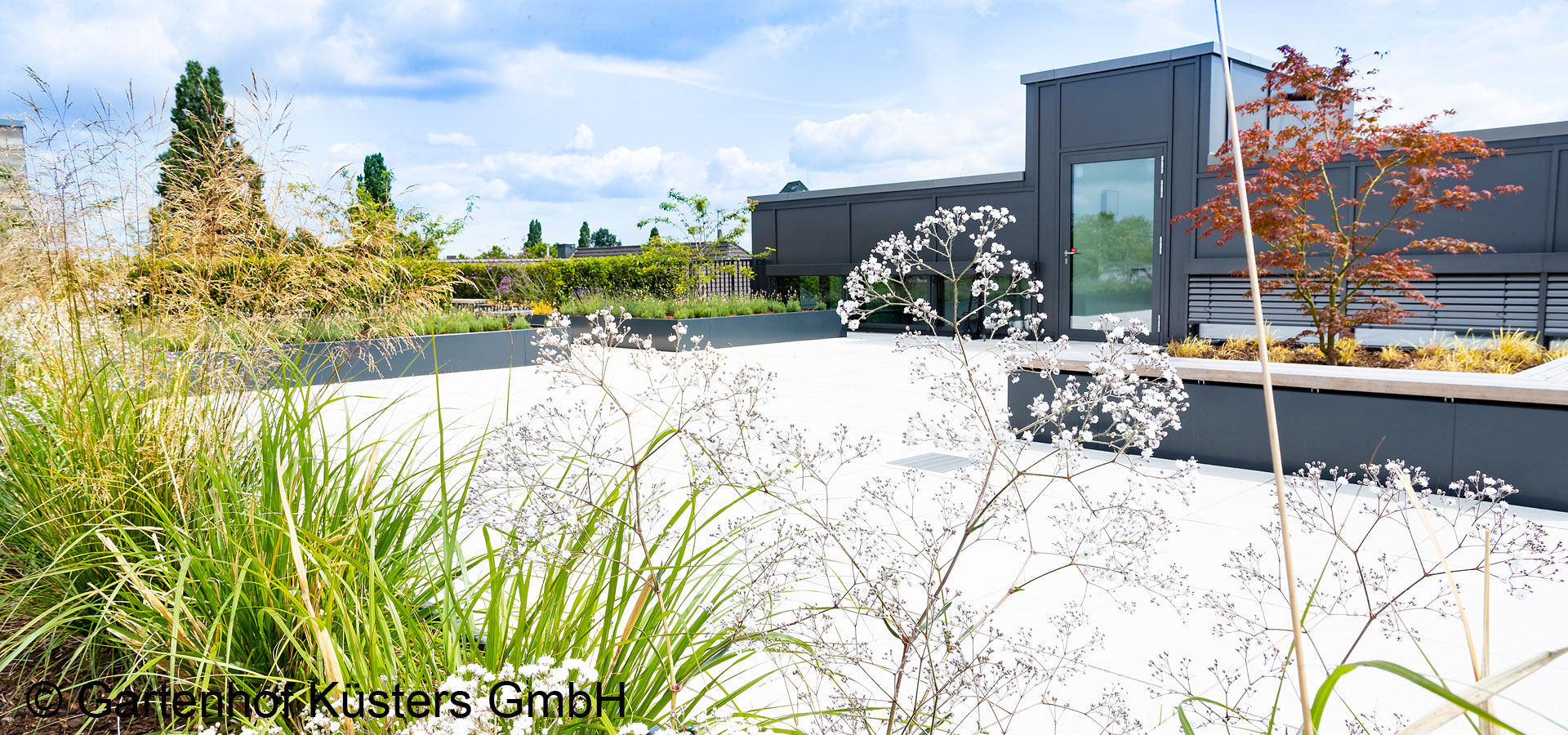 Gartenhof K�sters - Dachbegr�nung K�ln