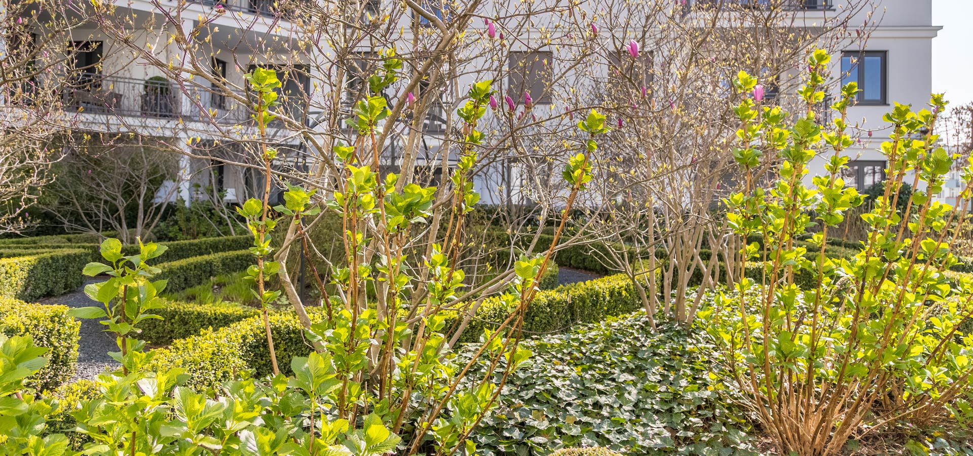 Gartenhof Küsters - Düsseldorf Magnoliengarten