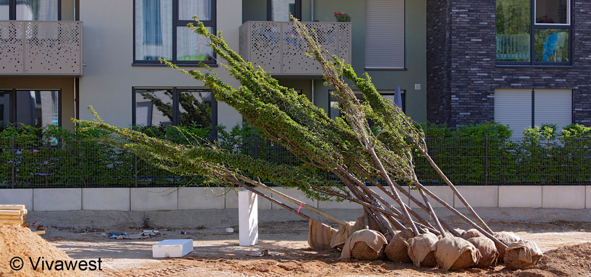 Gartenhof K�sters - Sch�ffenh�fe D�sseldorf